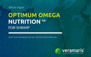 Veramaris guideline for optimized omega-3s in shrimp feeds