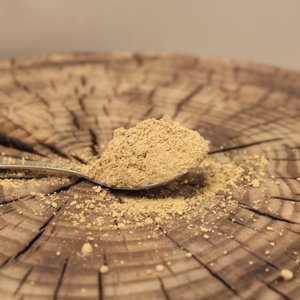 Finish researchers produce protein from sawdust to be used in aquafeeds