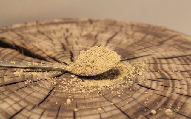 Finish researchers produce protein from sawdust to be used in aquafeeds