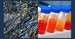 Mara Renewables Corporation raises $39.5 million to expand its microalgae-based product portfolio
