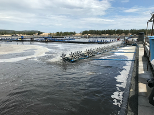 Aquaintech unveils new website and probiotic