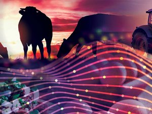 Alltech ONE Virtual Experience to feature 2021 Agri-Food Outlook