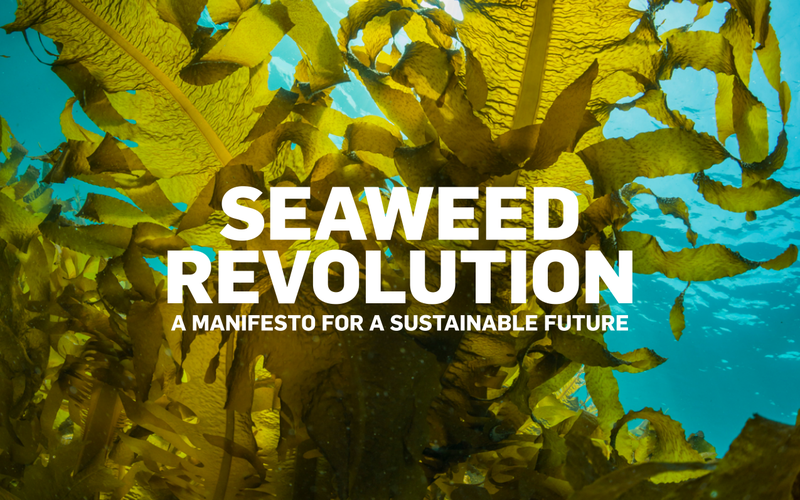 Seaweed manifesto for a sustainable development of the industry