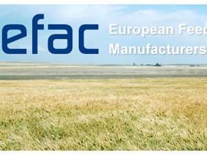 European feed industry increases responsible soy usage