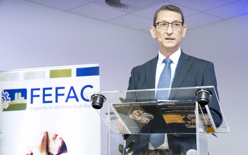 022_20240531-FEFAC-00222