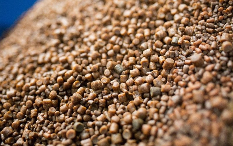 Whats the interaction between different feed nutrients in salmon?
