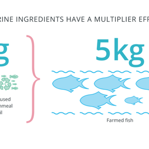 IFFOs updated sustainability metrics show marine ingredients being used as strategic ingredients