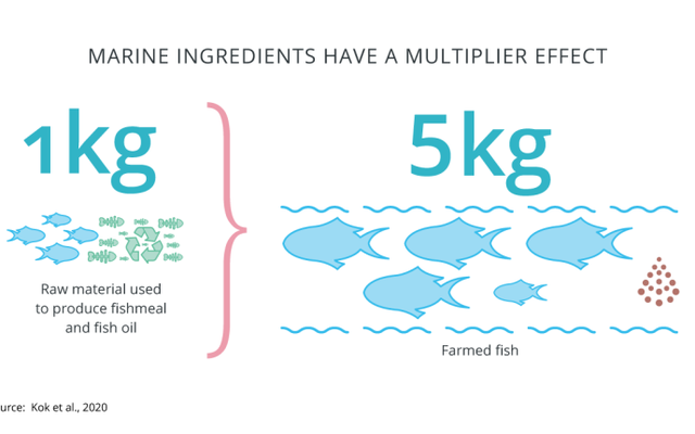 IFFOs updated sustainability metrics show marine ingredients being used as strategic ingredients