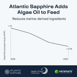 Skretting to include algal omega-3 ingredients in Atlantic Sapphire feeds