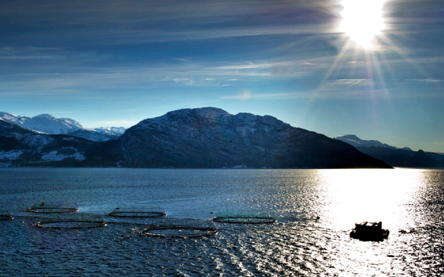 Norway unveils new aquaculture strategy for sustainable growth