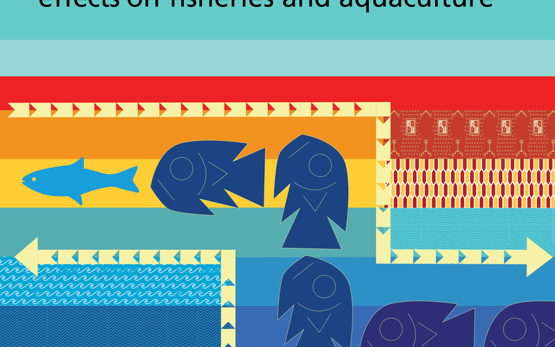 Effects of El Niño Southern Oscillation on aquaculture
