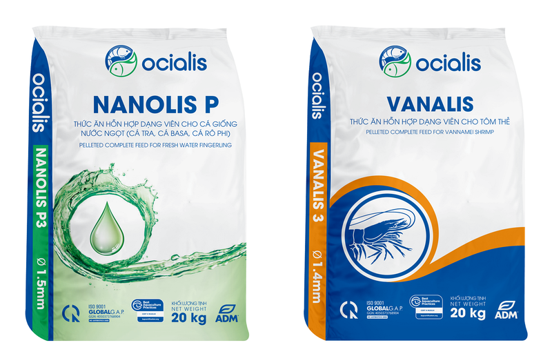 Ocialis unveils new brand identity