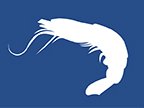 What is the optimal dietary zinc level in shrimp?