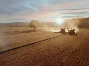 Benson Hill finalizes first commercial harvest of ultra-high protein soybean varieties