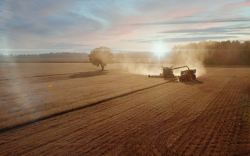 Benson Hill finalizes first commercial harvest of ultra-high protein soybean varieties