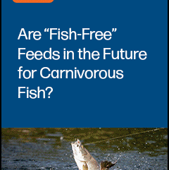 Join F3 webinar on emerging trends in alternative feeds for carnivorous fish