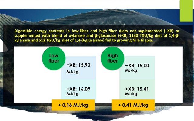 Top-spraying enzymes improve digestibility in high-fiber feeds in Nile tilapia