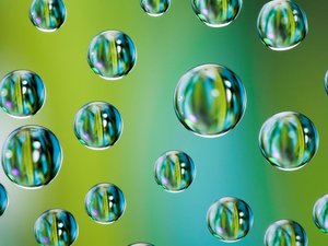 Corbion reviews algae business strategy due to lower sales than expected