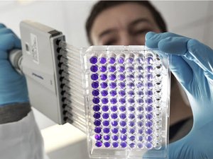 Shrimp feed attractability project among the winners of the Nutreco Young Researchers Prize