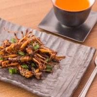 Adisseo and Entobel join forces on alternative insect protein development