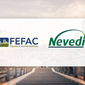 FEFAC public annual meeting to take place at VICTAM/VIV