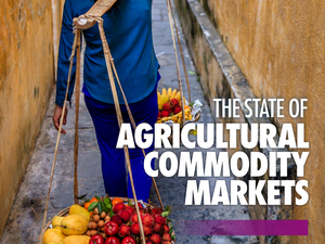 Global trade in food and agricultural products doubles in last two decades