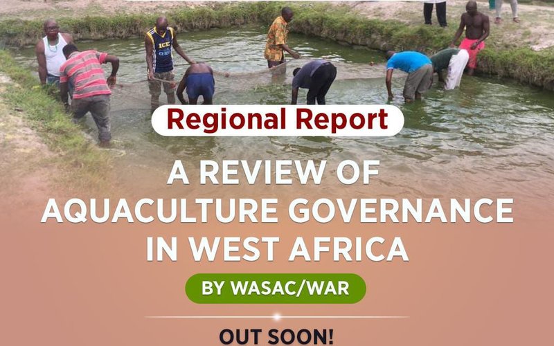 Sponsorship opportunities for a new report on aquaculture in West Africa