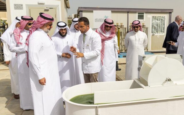 Saudi Arabia to establish algal industry for aquafeeds