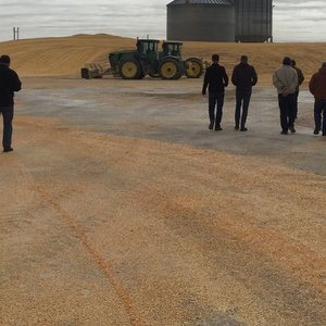 Egyptian feed producer introduces DDGS-based aquafeed supported by U.S. Grains Council