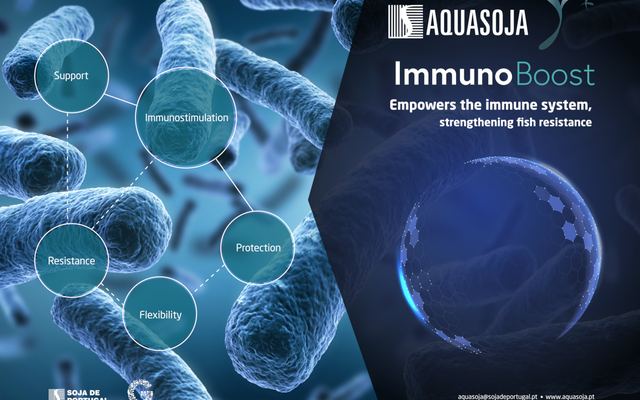 Aquasoja strengthens the immune system of fish with a new diet