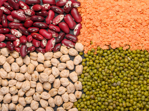 European protein value chain calls for an EU strategy on plant protein
