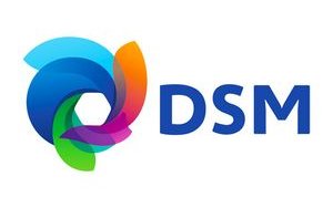 Solid results in a challenging pandemic year for DSM