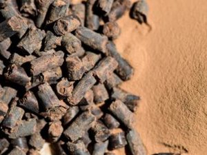Qatar-based investor buys license from Unibio to turn natural gas into sustainable protein