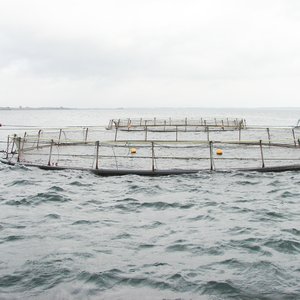 BioMar's new feed range reduces environmental impact of aquaculture