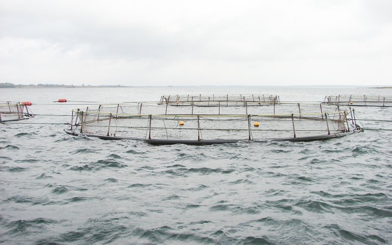 BioMar's new feed range reduces environmental impact of aquaculture