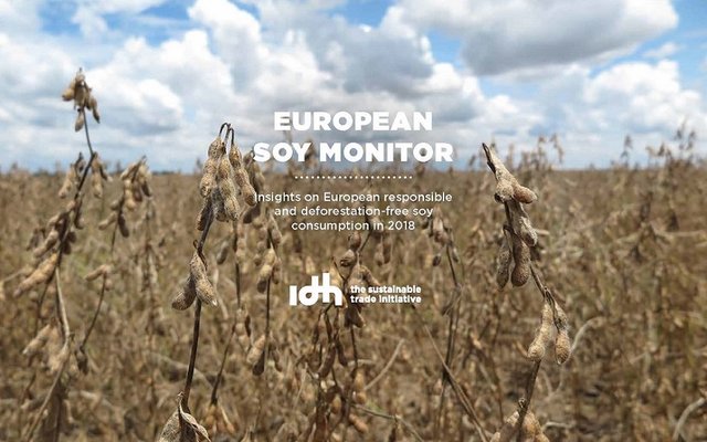 EU feed industry on the right track for responsible and deforestation-free soy