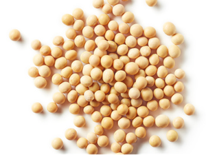 Join F3s webinar on soy ingredients in aquafeeds