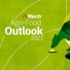 Global feed production increases 2.3% in 2021