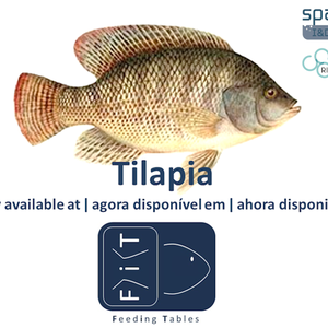 Sparos introduces feeding tables for tilapia
