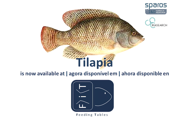 Sparos introduces feeding tables for tilapia