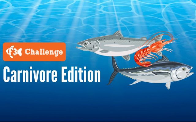 Nine contestants race in F3 Challenge - Carnivore Edition