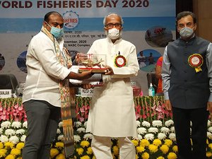 Low-cost shrimp feed wins Indian Best Fisheries Enterprises award