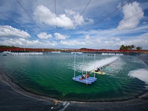 Thai farmed shrimp achieves Yellow Good Alternative from Seafood Watch