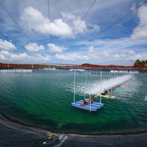 Thai farmed shrimp achieves Yellow Good Alternative from Seafood Watch