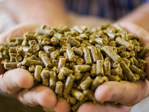Barentz acquires Pestell Nutrition