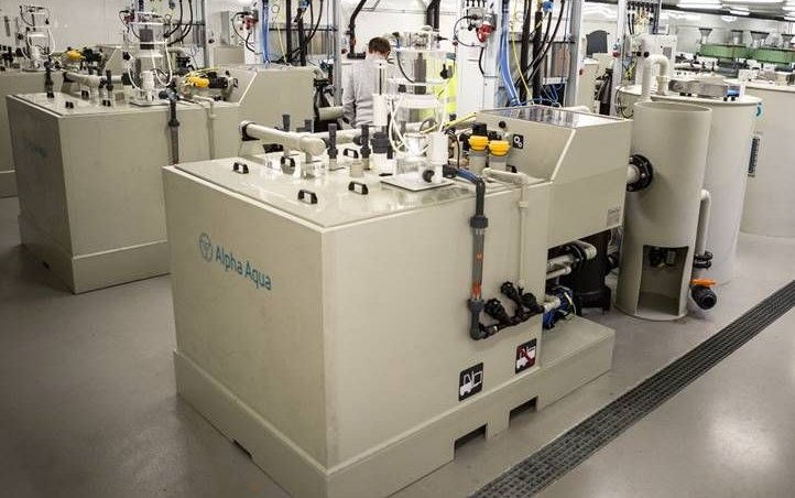 Cargill invests in new RAS capabilities and partnerships