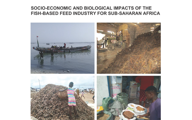 Impacts of fish-based feed industry for sub-Saharan Africa