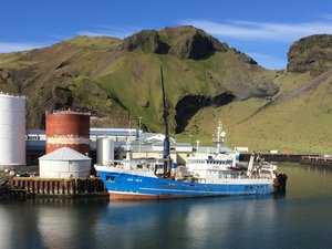 EUfishmeal warns of risk of losing certifications in the Northeast Atlantic