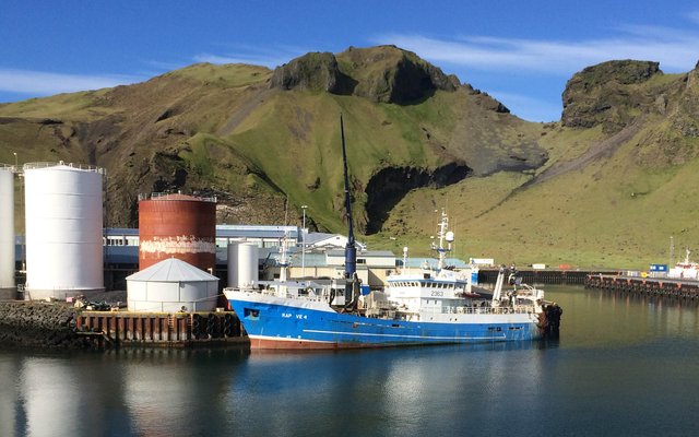 EUfishmeal warns of risk of losing certifications in the Northeast Atlantic