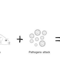 Aquasoja feed ranges support fish under stress